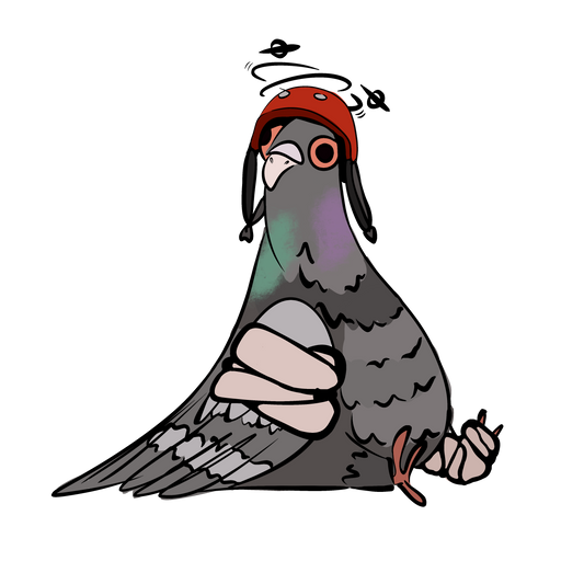 Rider In Distress Emergency Fund